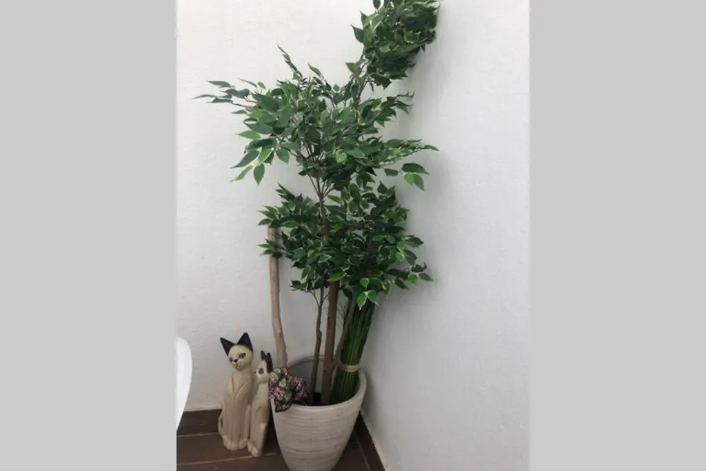 Appartamento Graca 4 Lisbona Portogallo